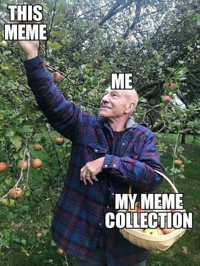 The meme features a photo of an old man picking apples from a tree. The text "This meme" appears at the top, while "My meme collection" is at the bottom. The image is humorous because it implies that the old man is proud of his extensive collection of memes, but is also struggling to keep up with the constant influx of new ones.